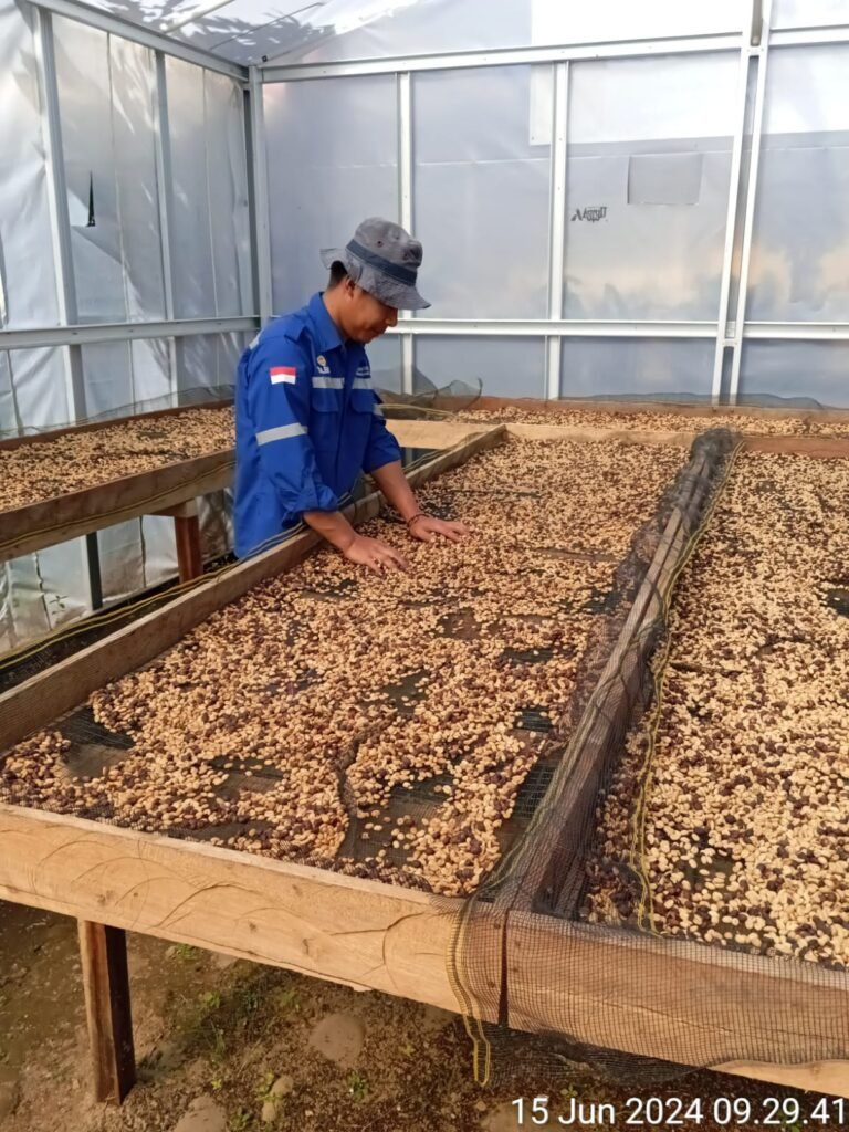 Corporate Social Responsibility for Implementation of Coffee Processing Capacity Building