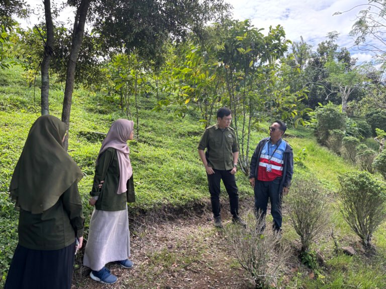 Land Acquisition (LAQ) Completion Report, Geothermal Power Plant