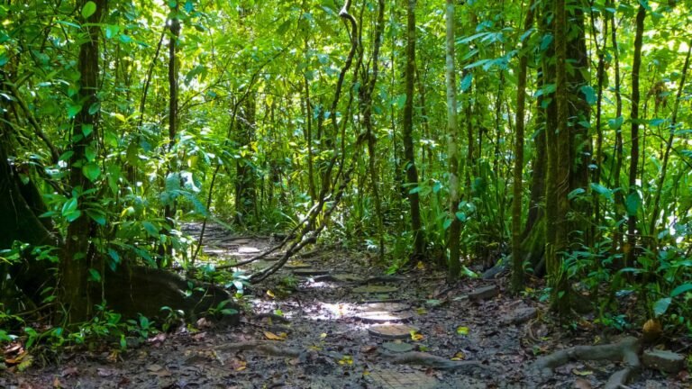 Sustainable Financing for Agrobiodiversity in National Park Through Development Financing Model and Empowering the Community Enterprise