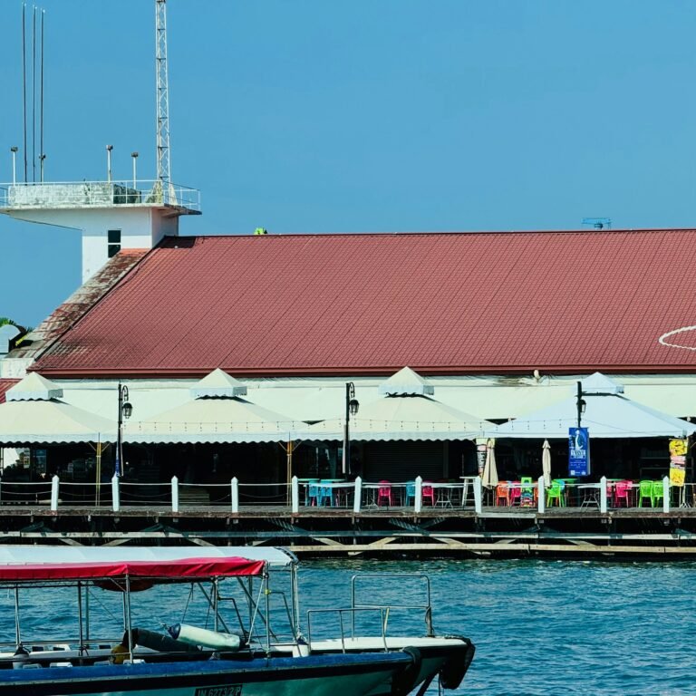 High level Environmental and Social Impact Assessment (ESIA), Tanjung Benoa Terminal, Pelindo-3