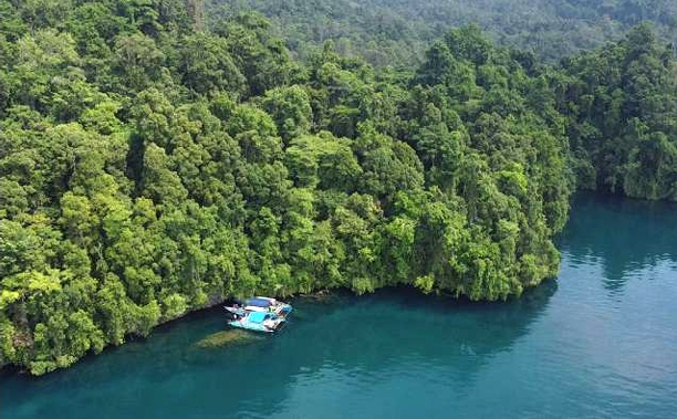 Peran Anak Muda dalam ESG
