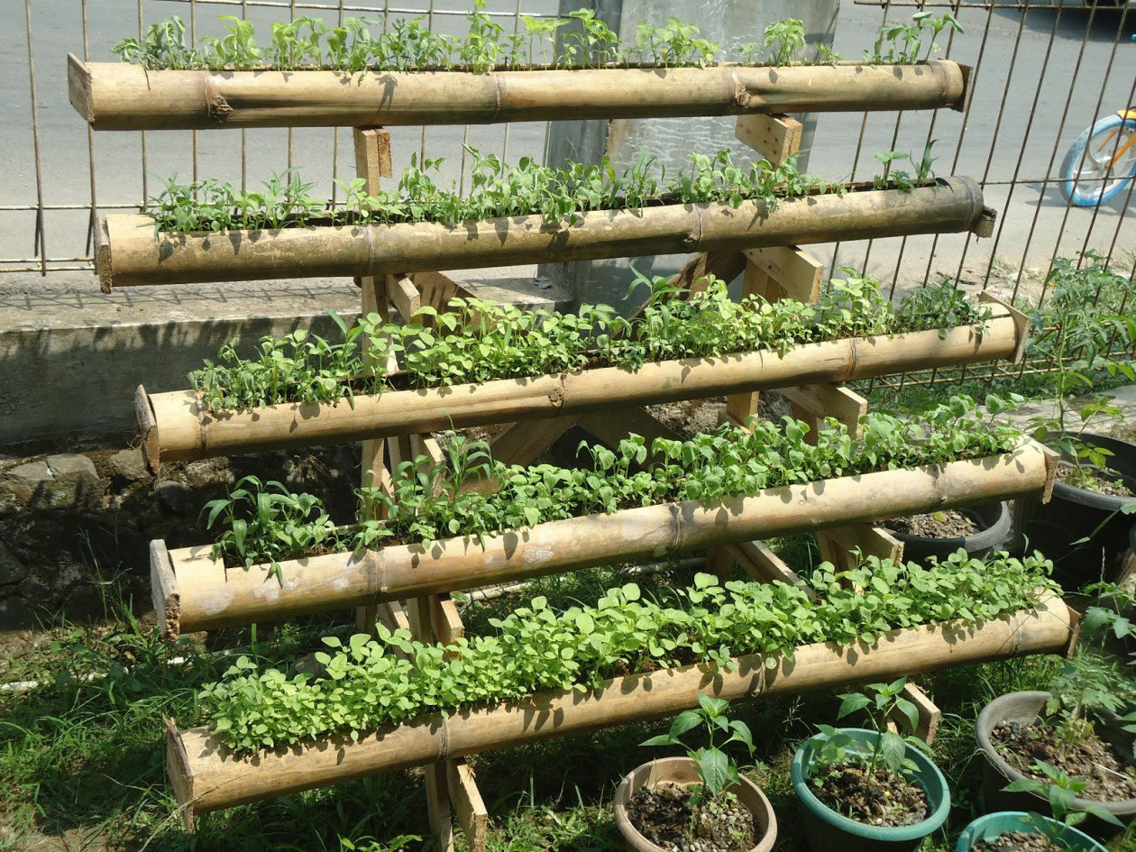 kebun kota kecil