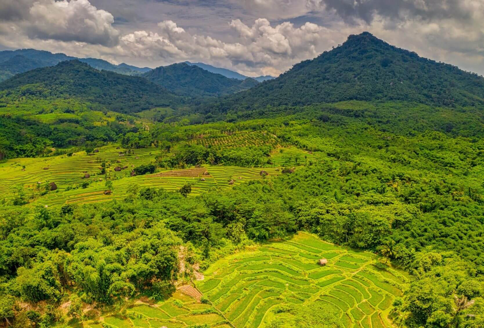 Investasi Hijau ESG