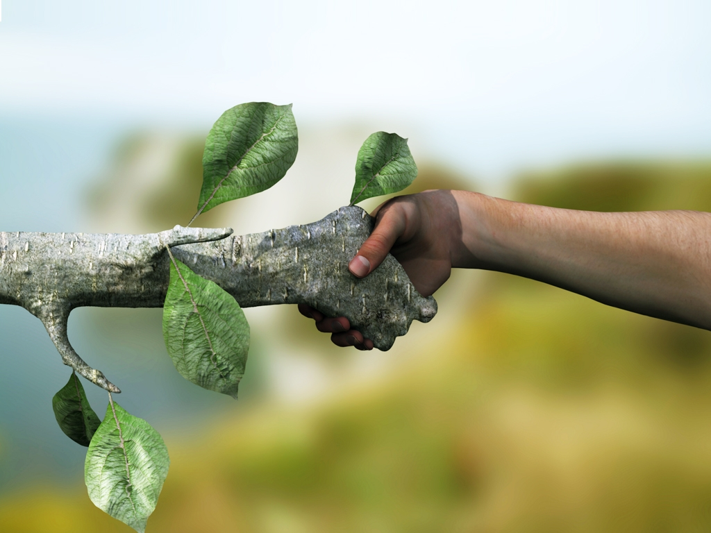Dampak positif sustainability