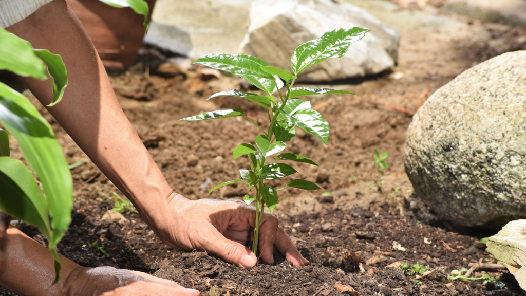 Dampak positif sustainability