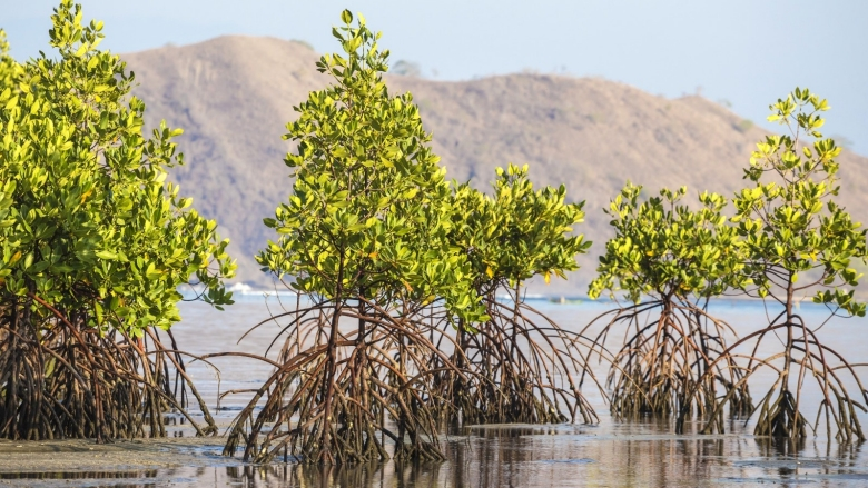 Dampak positif sustainability