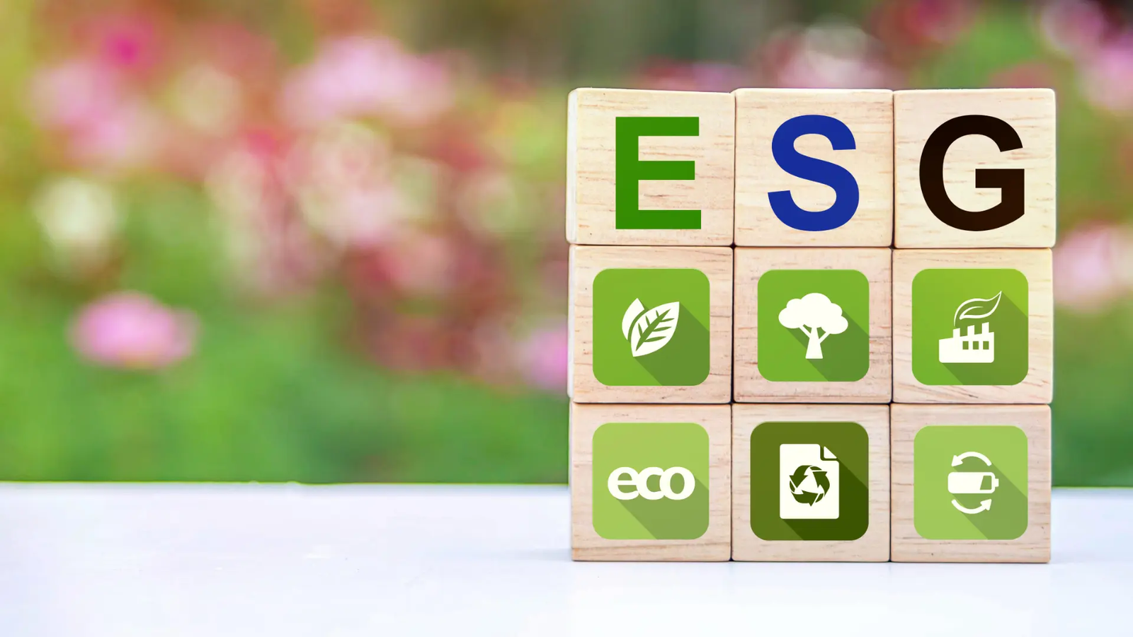 Aspek Sosial ESG